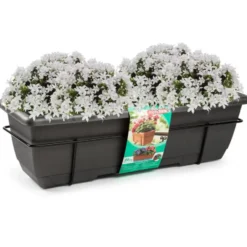 Forte Plastics Plantenbak - balkon - antraciet - 60 cm