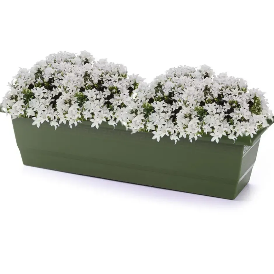 Forte Plastics Plantenbak - groen - rechthoekig - 60 x 20 x 16 cm