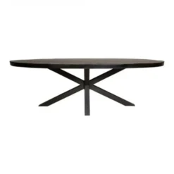 Furndea Eettafel Morada industrieel ovaal mangohout zwart 180x90x76cm