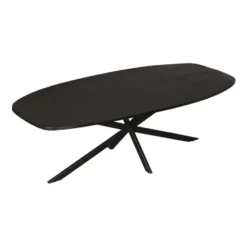 Furndea Eleanor eettafel Deens ovaal zwart - 100x200x76 cm