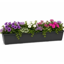 Geli Plantenbak - antraciet - rechthoekig - 80 x 17,5 cm