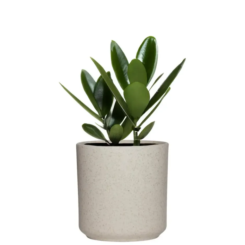 Hakbijl Plantenpot/bloempot Cindy - wit - keramiek - D17xH17 cm