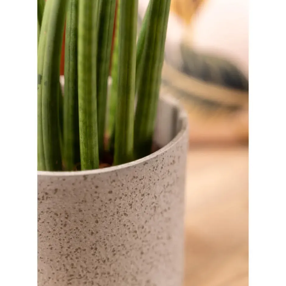 Hakbijl Plantenpot/bloempot Cindy - wit - keramiek - D17xH17 cm