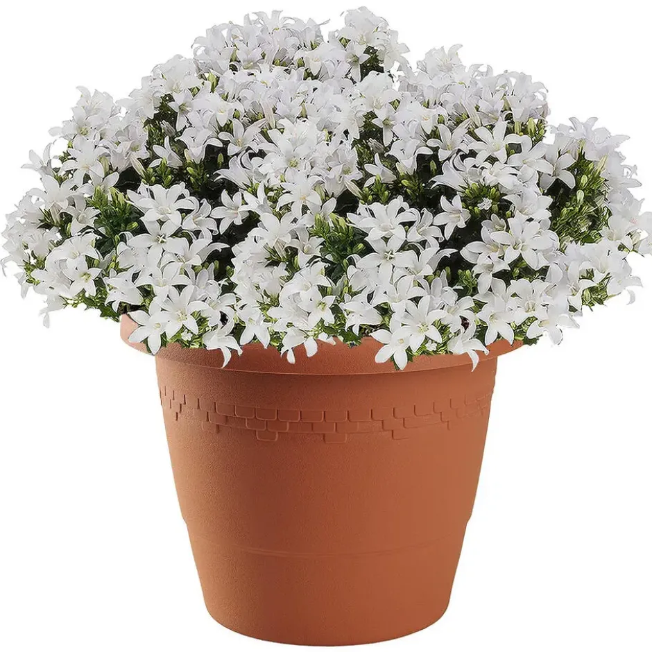 Hega Hogar Bloempot/plantenpot - D30 cm x H24 cm - terra cotta