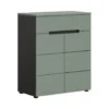 Hioshop Canu schoenenkast 2 deuren- 1 lade stofgroen- donkergrijs