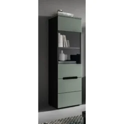 Hioshop Canu vitrinekast 1 glasdeur stofgroen- donkergrijs