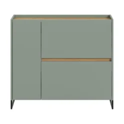 Hioshop Drive schoenenkast 1 deur- 2 vouwdeuren salvie decor