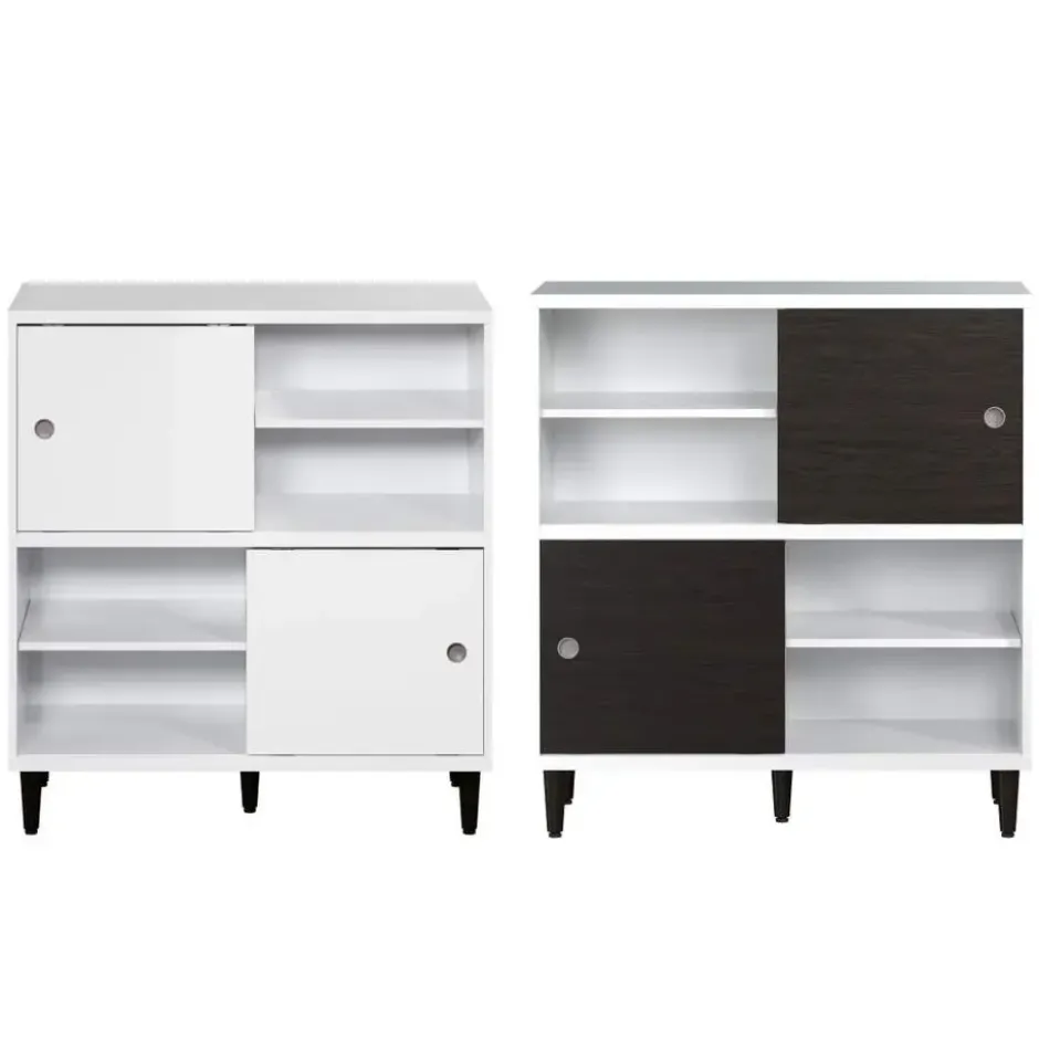 Hioshop Evolution wandkast 2 deuren- 4 planken wit- zwart