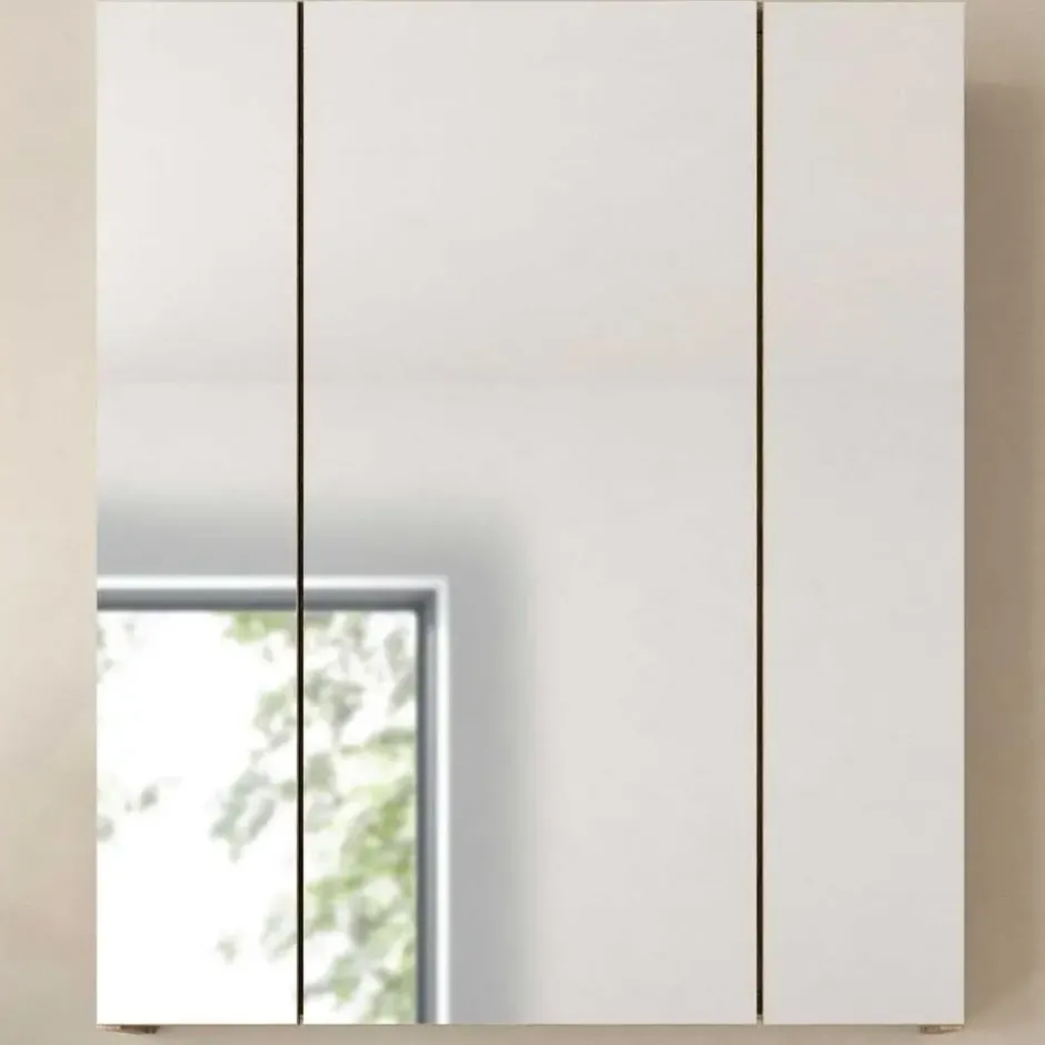 Hioshop Ice spiegelkast zwart mat- eiken decor