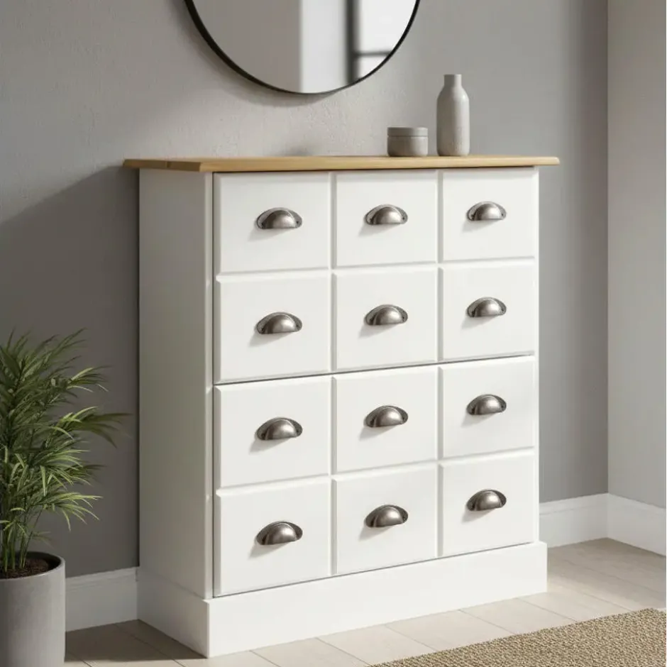 Hioshop Orienty schoenenkast 2 kleppen wit
