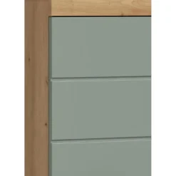 Hioshop Scout badkamerkast 2 deuren- 1 lade salvie decor- eiken decor