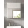 Hioshop Star spiegelkast 3 spiegeldeuren eik decor
