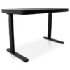Home Office - Zwart - 120 x 60 - Zit-sta bureau elektrisch verstelbaar