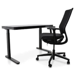 Home Office - Zwart - 120 x 60 - Zit-sta bureau elektrisch verstelbaar