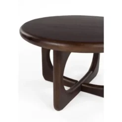 Housecraft Living Jani Salontafel Rond 60 cm Mangohout Donkerbruin