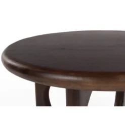 Housecraft Living Jani Salontafel Rond 60 cm Mangohout Donkerbruin
