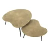 Hoyz Collection - Salontafel Set-2 Niervormig Ray - Brons/Goud Metaal