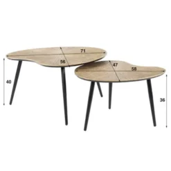 Hoyz Collection - Salontafel Set-2 Niervormig Ray - Brons/Goud Metaal