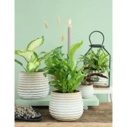 Ideas4seasons Plantenpot ribbel - creme wit - D16 x H13 cm