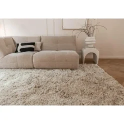 Interieur05 Hoogpolig Vloerkleed Polyester Pilo Beige - 340 x 240 cm