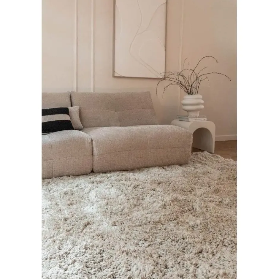 Interieur05 Hoogpolig Vloerkleed Polyester Pilo Beige - 230 x 160 cm