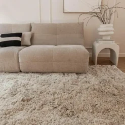 Interieur05 Hoogpolig Vloerkleed Polyester Pilo Beige - 150 x 80 cm