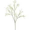 Kunstbloemen - gipskruit takken - gebroken wit - 60 cm