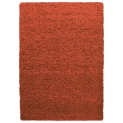 Life Basic Shaggy Vloerkleed Hoogpolig Terra - 120x170 CM