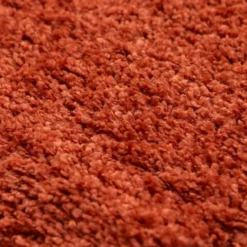 Life Basic Shaggy Vloerkleed Hoogpolig Terra - 200x290 CM
