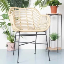 Lisomme Dax rotan tuinstoel naturel