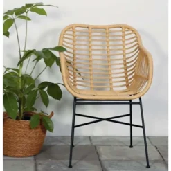 Lisomme Dax rotan tuinstoel naturel