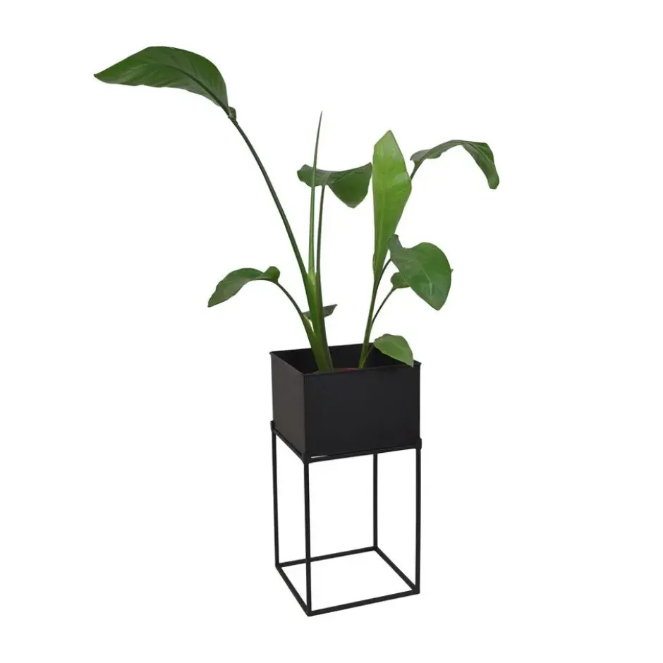 LOFT42 Flora Plantenbak vierkant - Metaal - Zwart