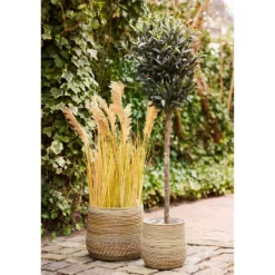 Mand Naturel Rotan - Set Van 2 - Moro Kubu