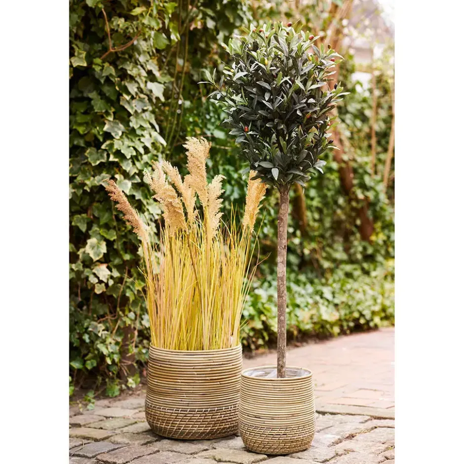 Mand Naturel Rotan - Set Van 2 - Moro Kubu