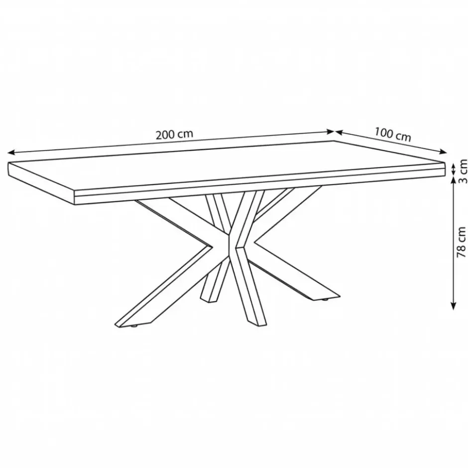 Mangohoutonline - Eettafel Memphis 200x100cm Rechthoekig Bruin