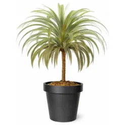 Mega Collections Plantenpot/bloempot - kunststof - zwart - D30 cm