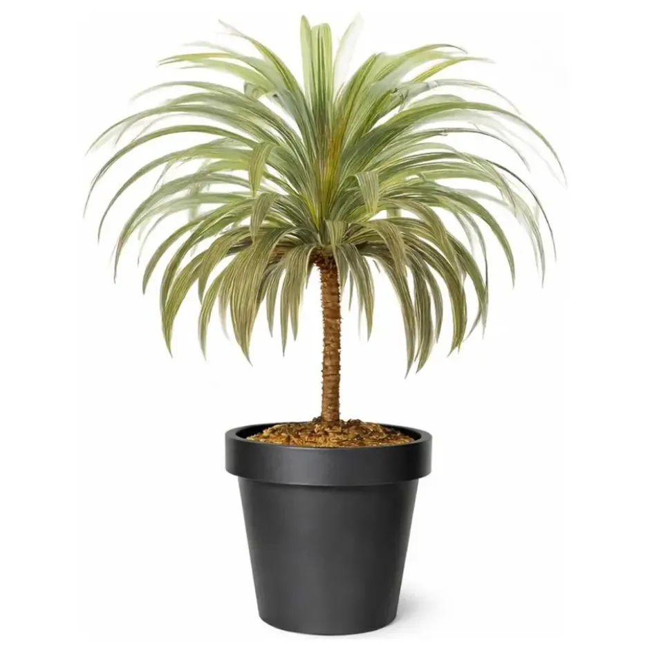 Mega Collections Plantenpot/bloempot - kunststof - zwart - D30 cm