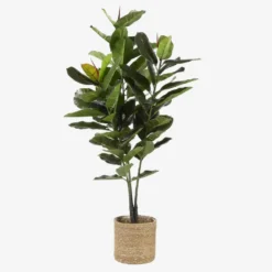 Mica Decorations Atlantic Mand voor Planten Set van 2