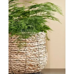 Mica Decorations Avalon Mand voor Planten - H31 x Ø30 cm - Lichtbruin