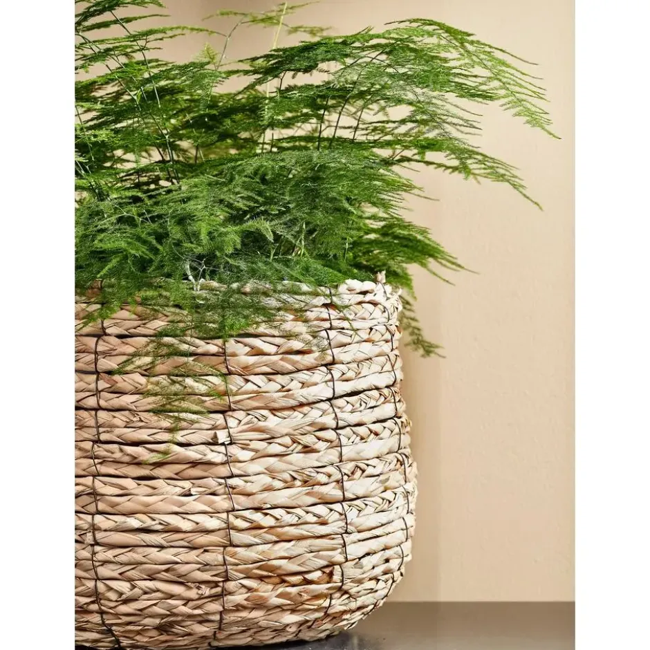 Mica Decorations Avalon Mand voor Planten - H31 x Ø30 cm - Lichtbruin