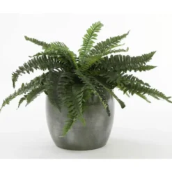 Mica Decorations Bloempot - glanzend groen - keramiek - 20 x 18 cm