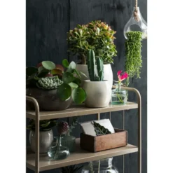 Mica Decorations Bloempot - groen - keramiek - 14 x 12 cm