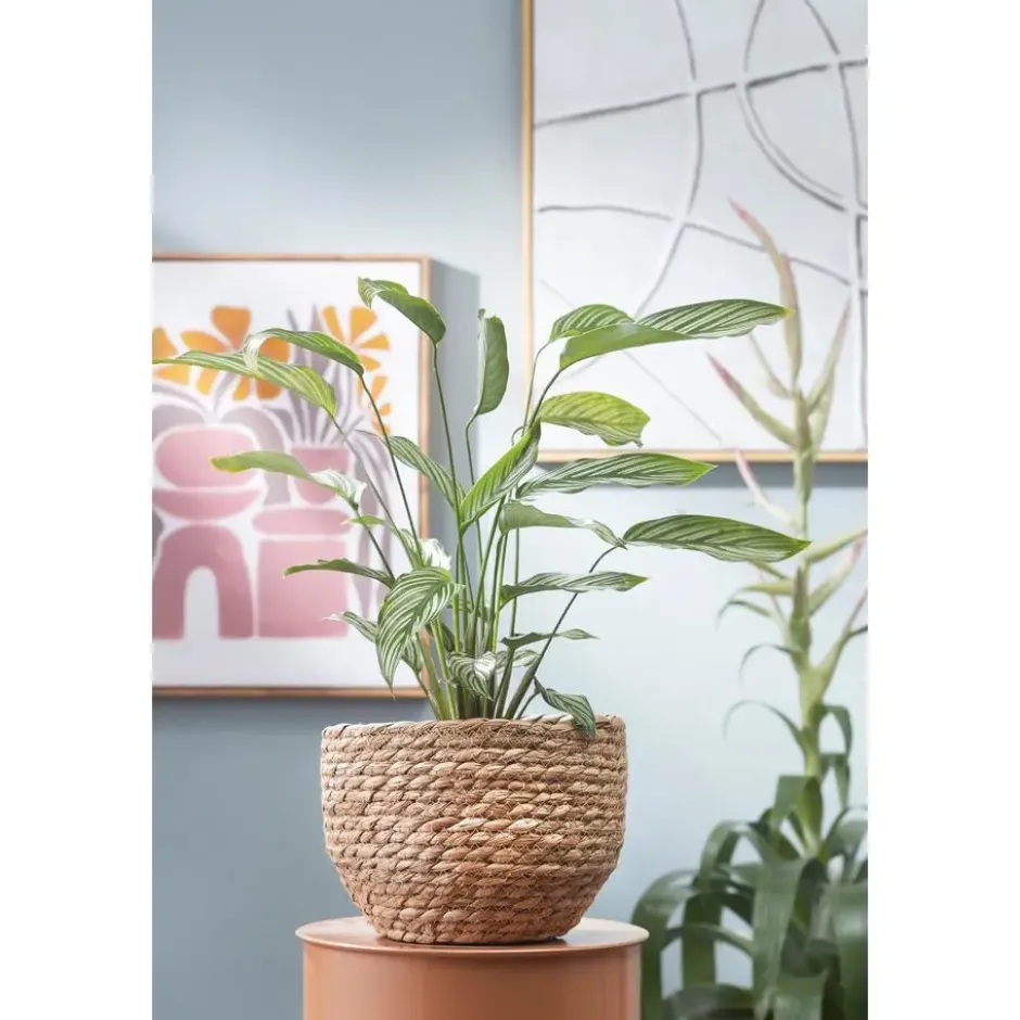 Mica Decorations Bloempot - rotan - beige - jute - 22 x 19 cm