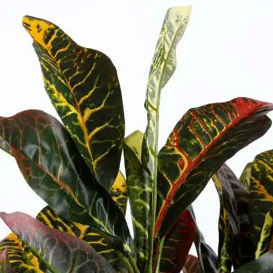 Mica Decorations Croton Kunstplant Bont
