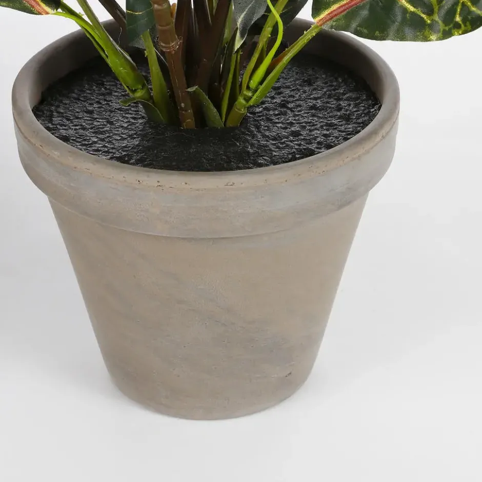 Mica Decorations Croton Kunstplant Bont