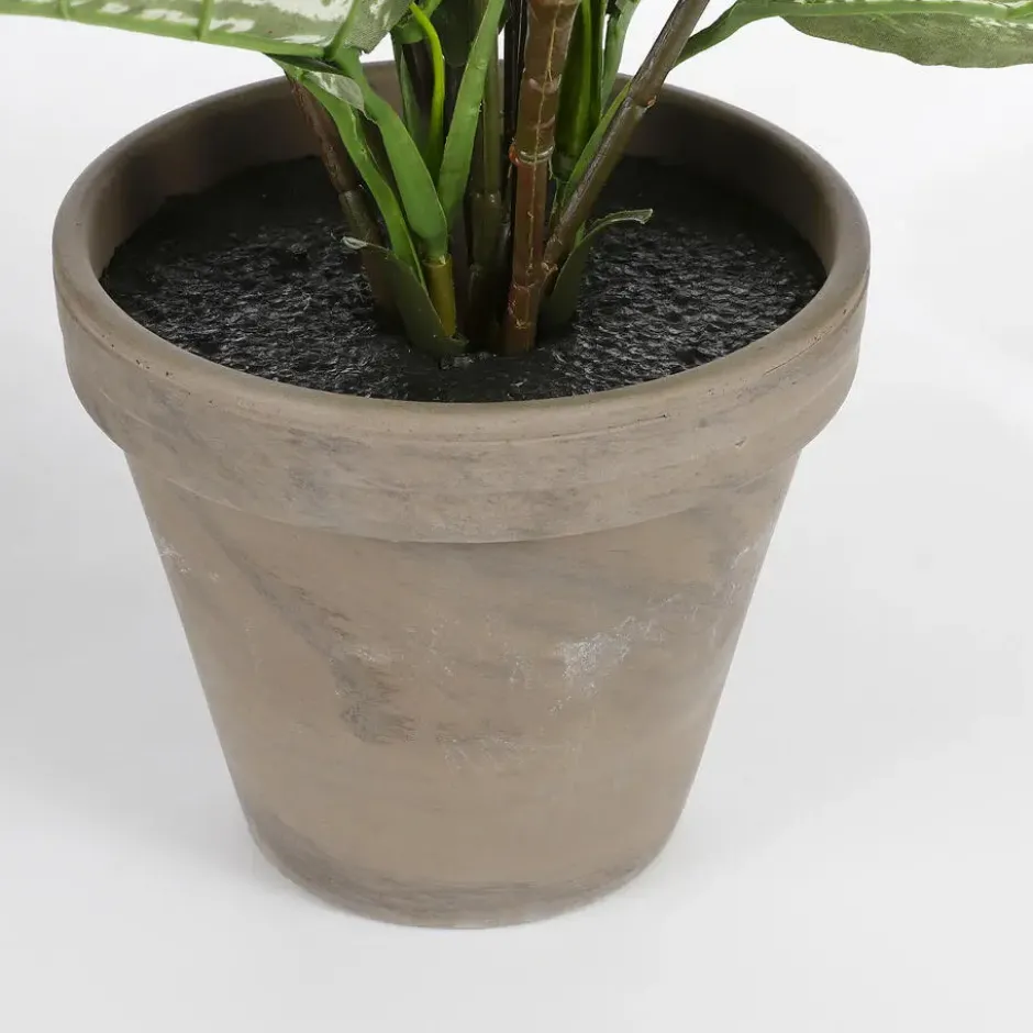 Mica Decorations Dieffenbachia Kunstplant Groen