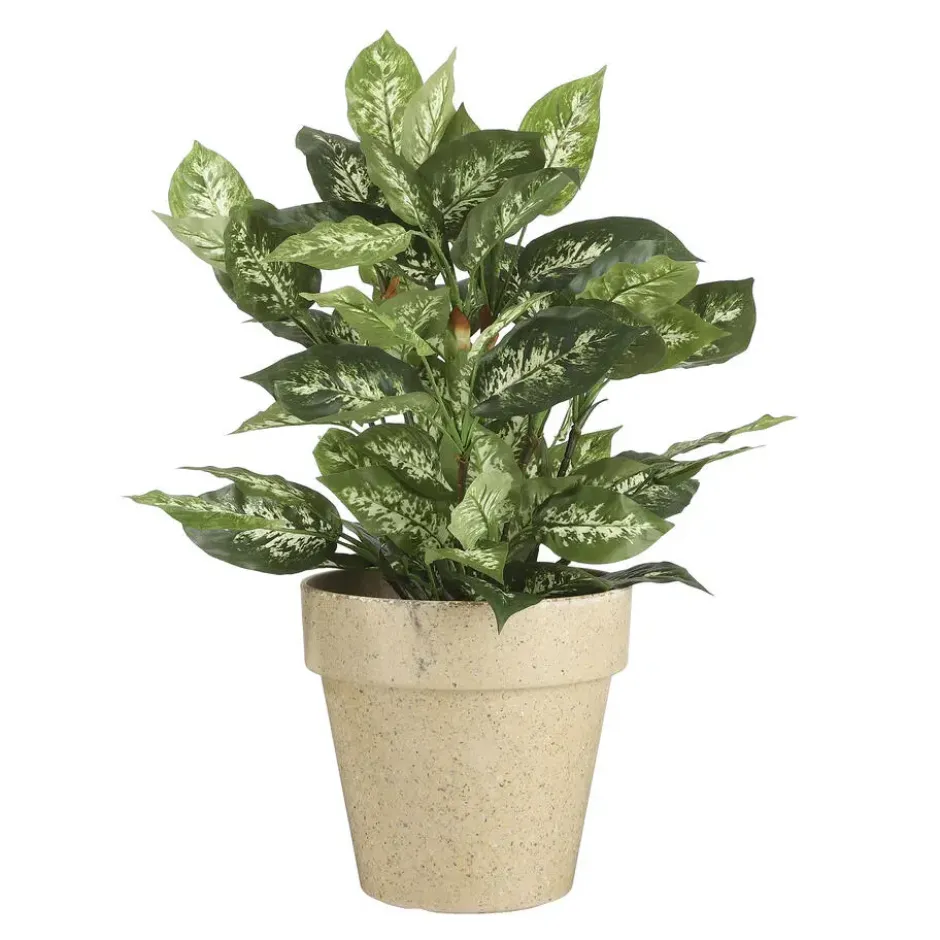 Mica Decorations Dieffenbachia Kunstplant Groen