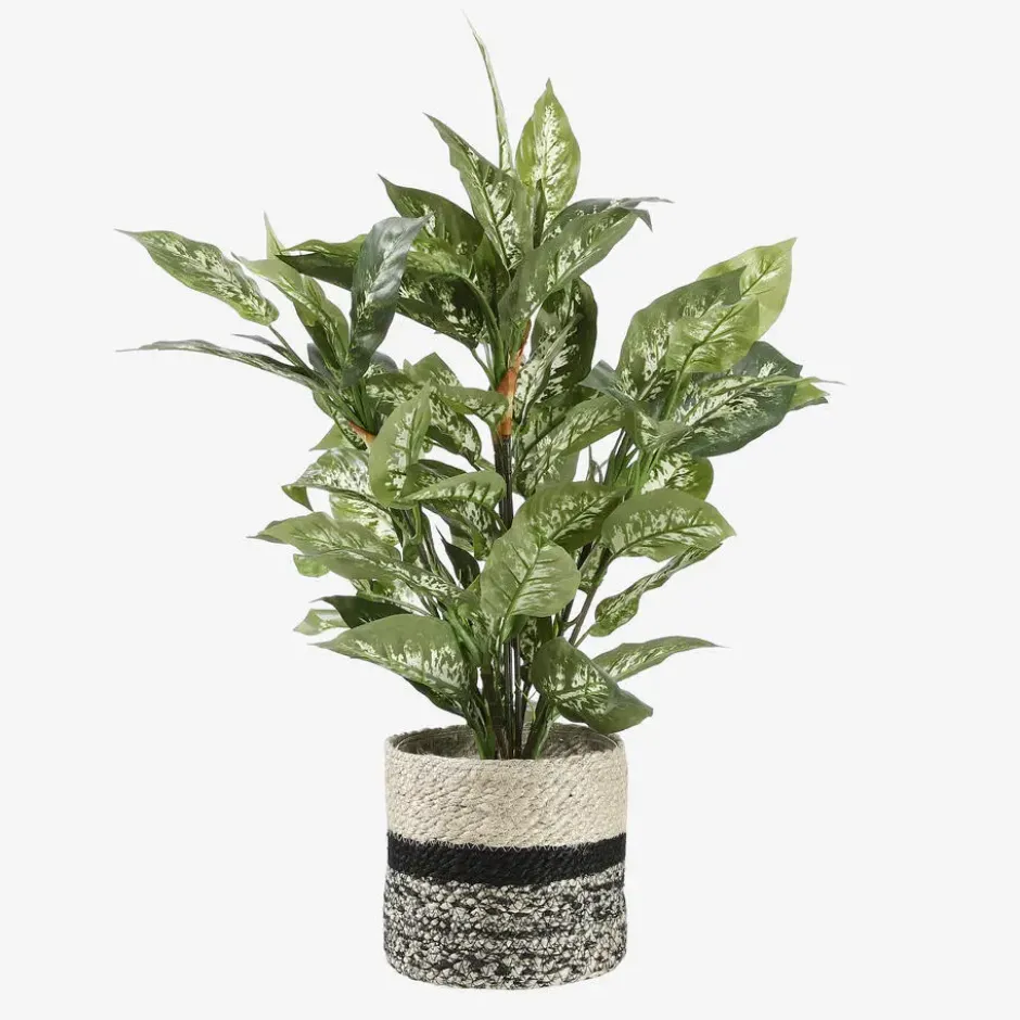 Mica Decorations Dieffenbachia Kunstplant Groen
