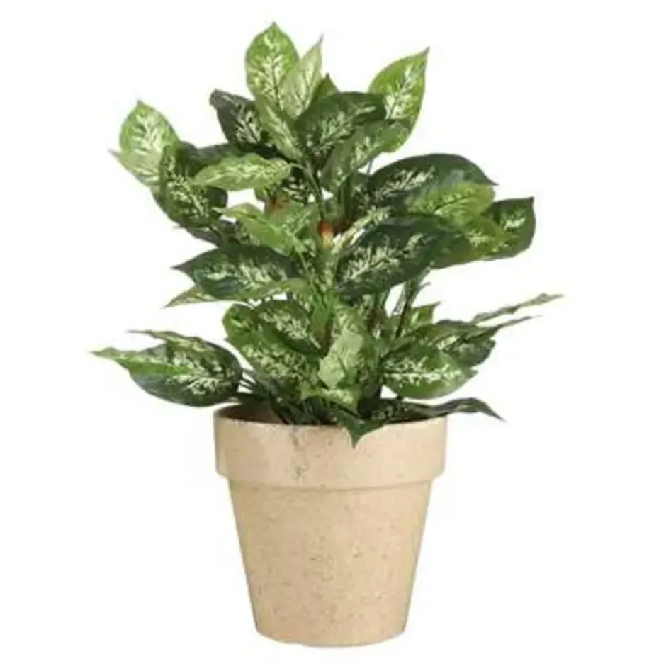 Mica Decorations Dieffenbachia Kunstplant Groen