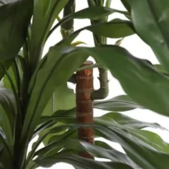 Mica Decorations Dracaena Kunstplant - H95 x Ø60 cm